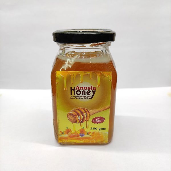 anosia-honey-multifloral-herbal-immunity-booster-moltus-global-multifloral-250gms
