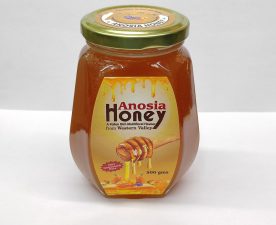 anosia-honey-multifloral-herbal-immunity-booster-moltus-global-multifloral